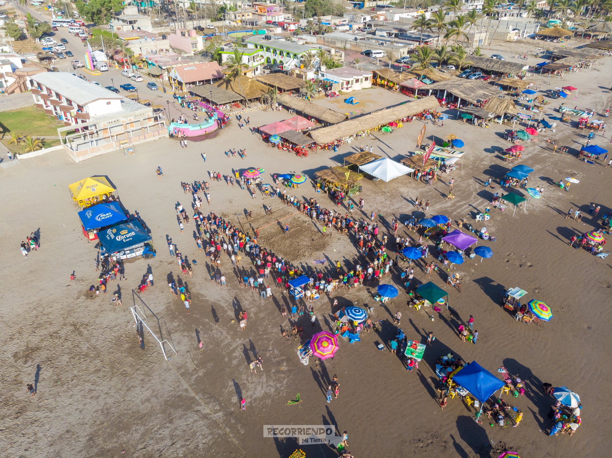 Festival del Mango
